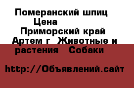 Померанский шпиц › Цена ­ 15 000 - Приморский край, Артем г. Животные и растения » Собаки   